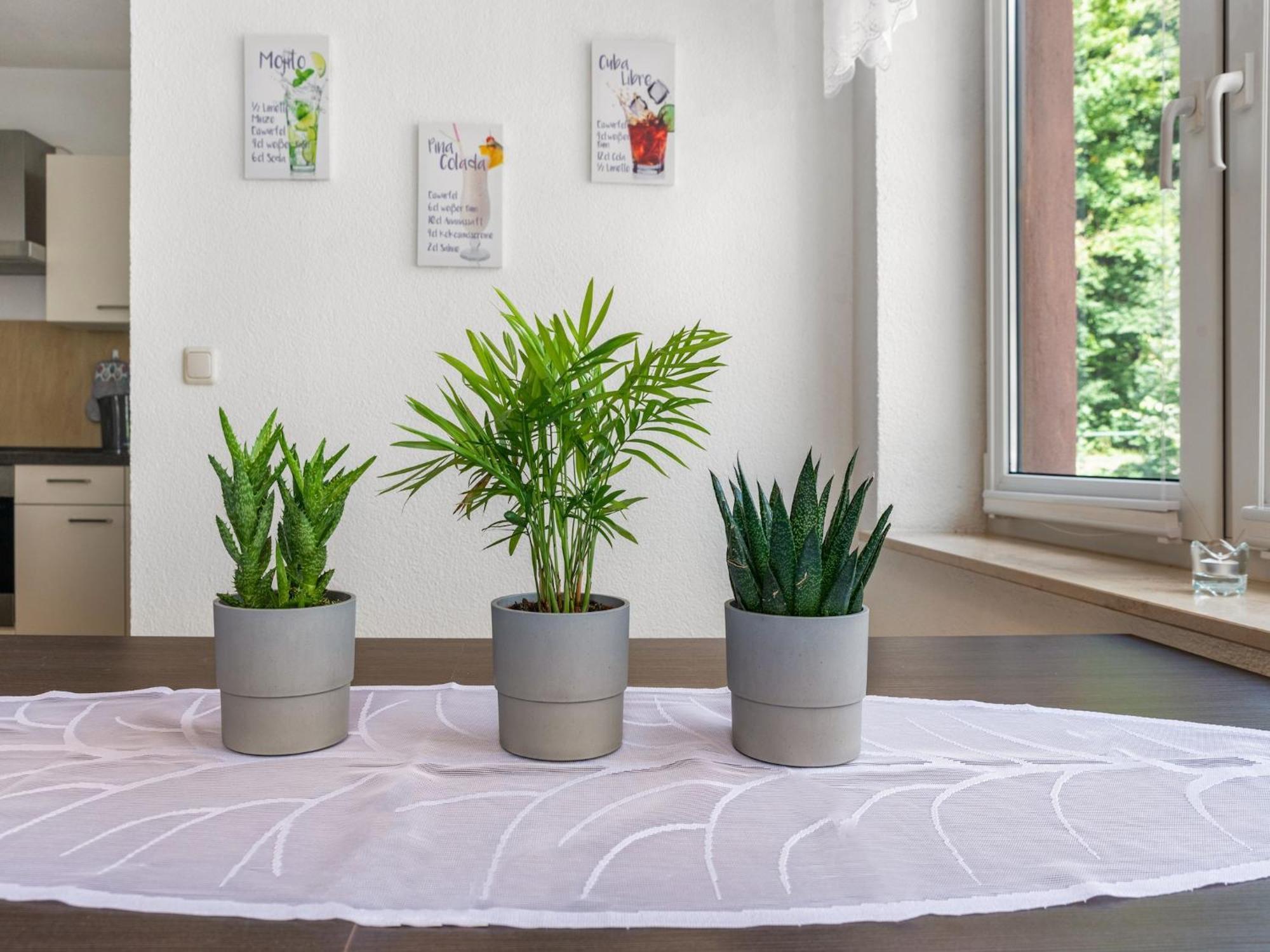 Modern apartment in Sebnitz with a terrace in Sebnitz Exterior foto